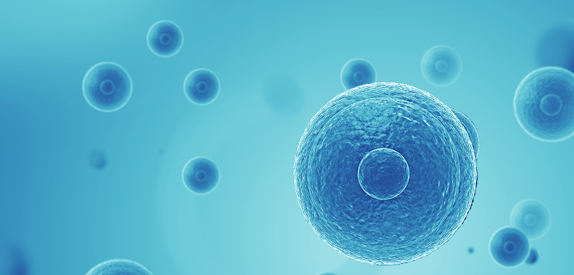We strive to make patients-driven cellular immunotherapy innovation, to transform cancer into a manageable condition — and ultimately cure it.