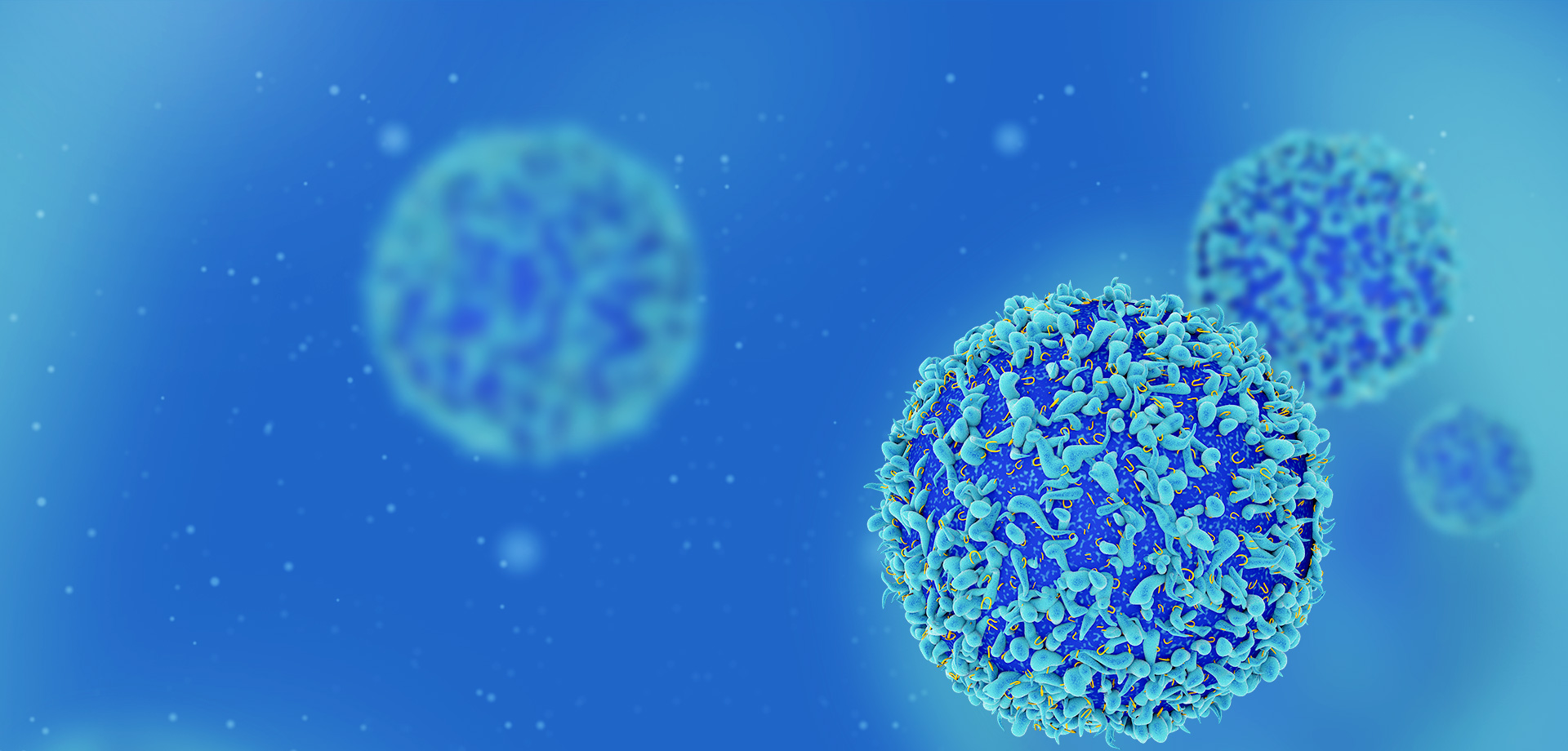 Become a global leader of cellular immunotherapy.